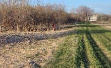 Site for the Bécancour Canadian lithium refinery.