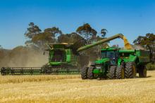 Grain harvest