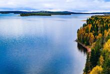 LATITUDE66 LAT FINLAND BULLSNBEARSWA