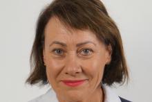 NEUROSCIENTIFIC_CATHY COLE_BULLSNBEARSWA (1)