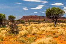 BMG RESOURCES BMG Au BULLSNBEARSWA 1440x960