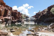 Goanna Leg Gorge is a permanent water source in the Pilbara. Photo: Tom Zaunmayr