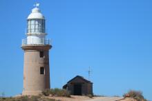 WA's whale shark tourism industry is based in Exmouth. Photo: Tom Zaunmayr