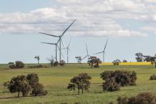 More than 1,000 wind turbines are proposed across the Wheatbelt.