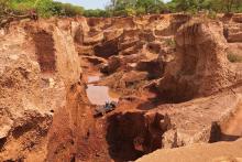 AURUM AUE Au BOUNDIALI BULLSNBEARSWA