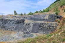 MIDDLE ISLAND MDI BOBIJA PIT BULLSNBEARSWA