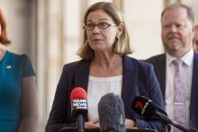 Health Minister Meredith Hammat. Photo: Tom Zaunmayr