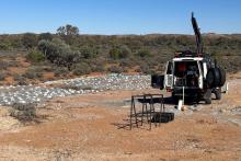 NOVO NVO CLONE NSW BULLSNBEARSWA