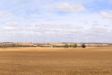 A render of the proposed wind farm. Image: via DPLH