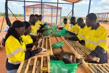 Aurum Resources_ Cote D’Ivoire_BULLSNBEARSWA