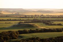 Farmland out the back of Geraldton in September. Photo: Tom Zaunmayr
