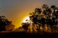 The Wilinggin native title area in the Kimberley. Photo: Tom Zaunmayr