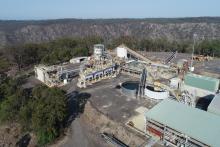 LARVOTTO_HILGROVE PLANT_BULLSNBEARSWA