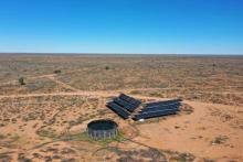 Madura Plains Station. Photo: Elders Real Estate