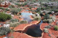 CORAZON CZN TP BNBWA