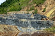 Middle Island_bobija_BNBWA