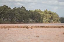 A leaky weir on Minderoo Station. Photo: Tom Zaunmayr