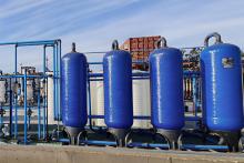 RED METAL IX PLANT BNBWA