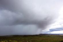 Wet season rains in the west Pilbara. Photo: Tom Zaunmayr