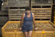 Tony Galati's Spudshed has 17 stores across WA. Photo: Attila Csaszar.