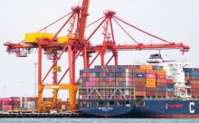 Fremantle. Photo: Michael O'Brien.