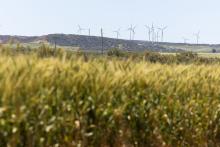 BP plans to build a 14GW renewables project in the Mid West. Photo: Tom Zaunmayr