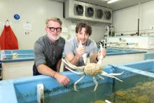 Steven Davies (left) with Sam Bass and a crystal crab. Photo: Michael O’Brien