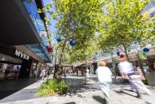 Western Australia had the fourth largest drop in household spending. 