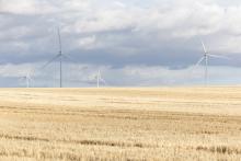 Intercontinental Energy is planning two large green energy projects in WA. Photo: Tom Zaunmayr