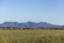 Altora Ag is selling farmland around Ravensthorpe. Photo: Tom Zaunmayr