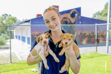 Animal Attendant, Charlotte