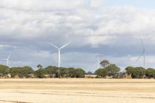 The Flat Rocks wind farm near Kojonup is WA's newest. Photo: Tom Zaunmayr