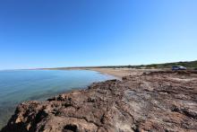 The site proposed for the Gascoyne Gateway development. Photo: Tom Zaunmayr.