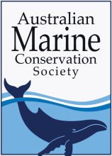Australian Marine Conservation Society logo