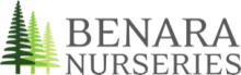 Benara Nurseries