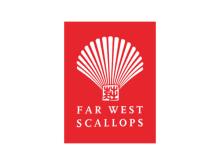 Far West Scallops