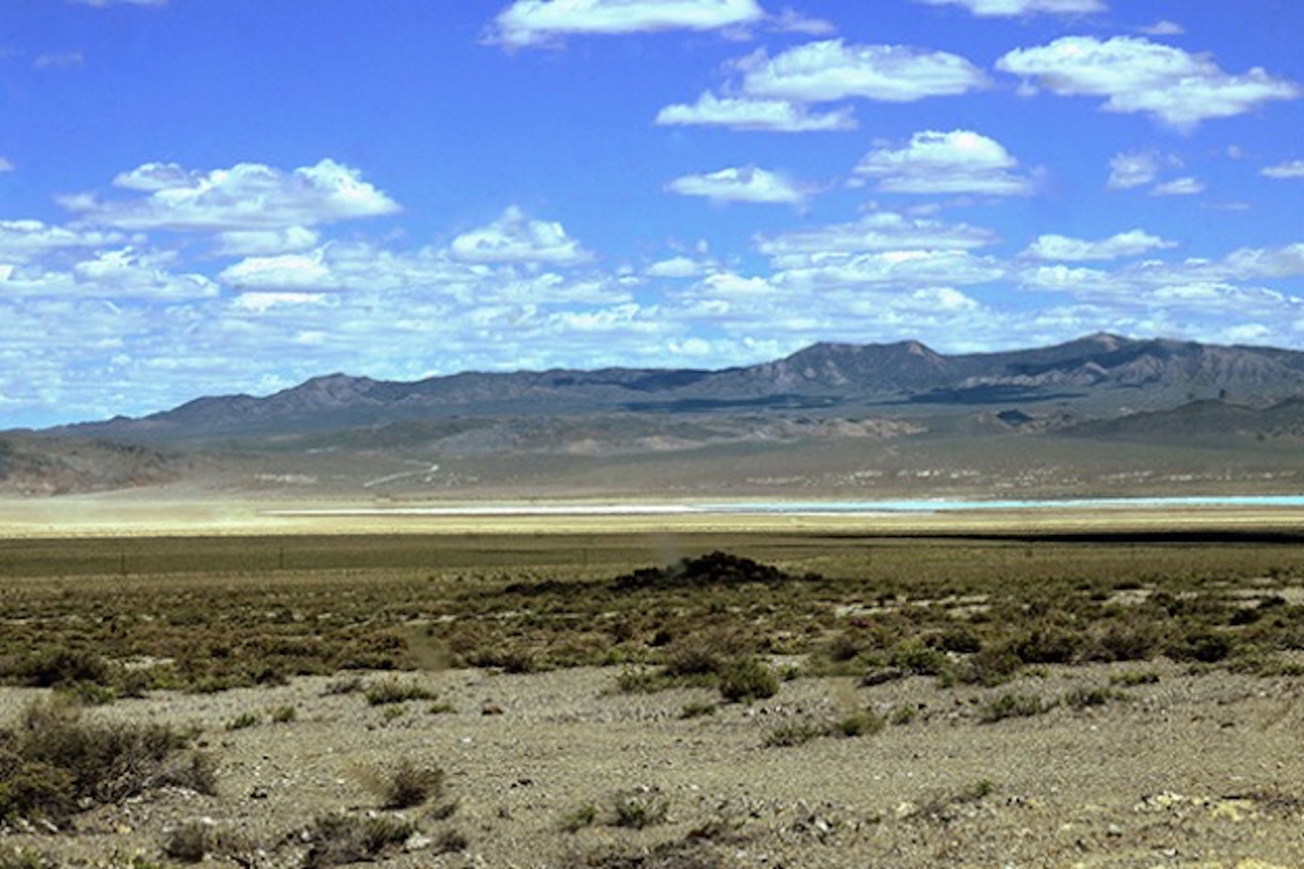 Reedy lithium search goes high tech