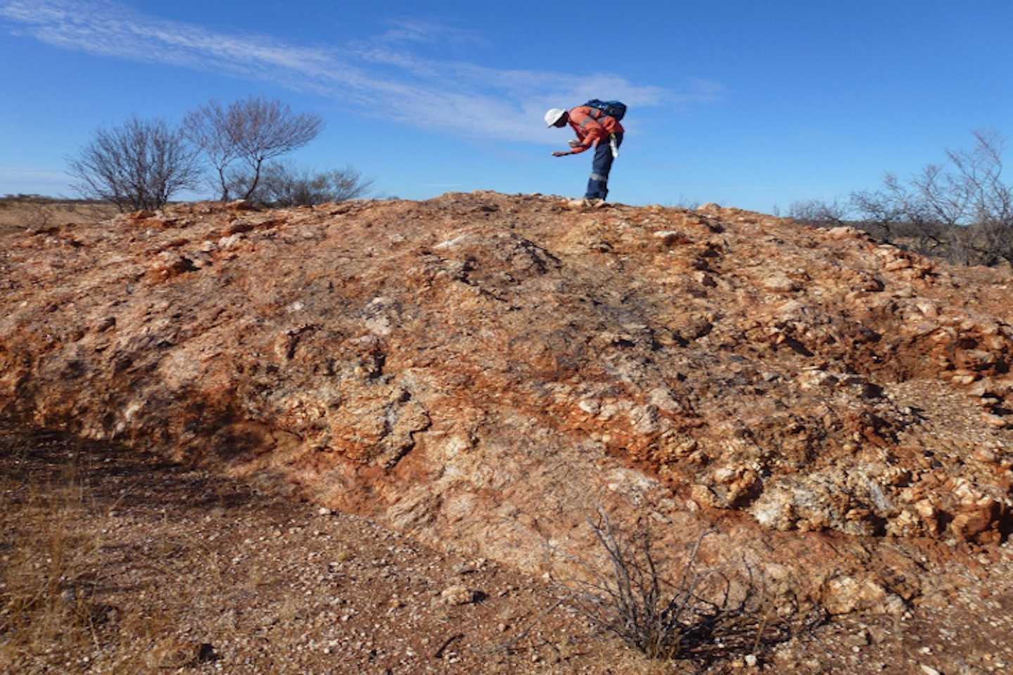 Venus options out WA lithium ground