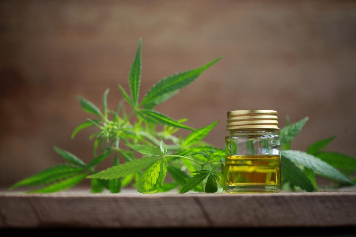 MGC sets a path for break even with latest medicinal cannabis deal