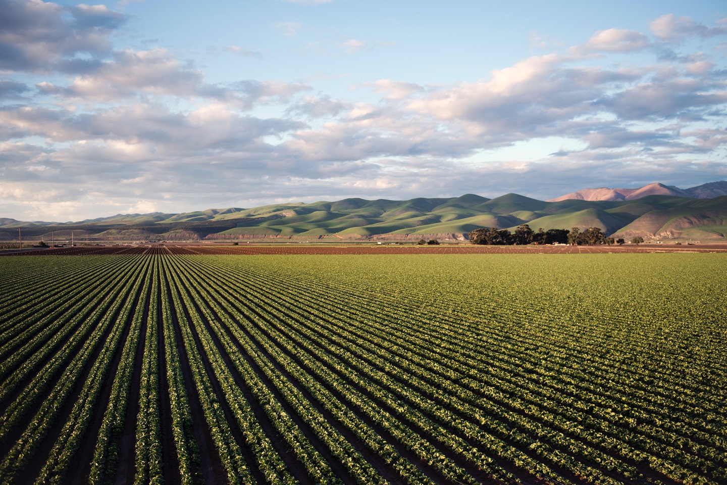 Australian Potash pens second take-or-pay fertilizer off-take