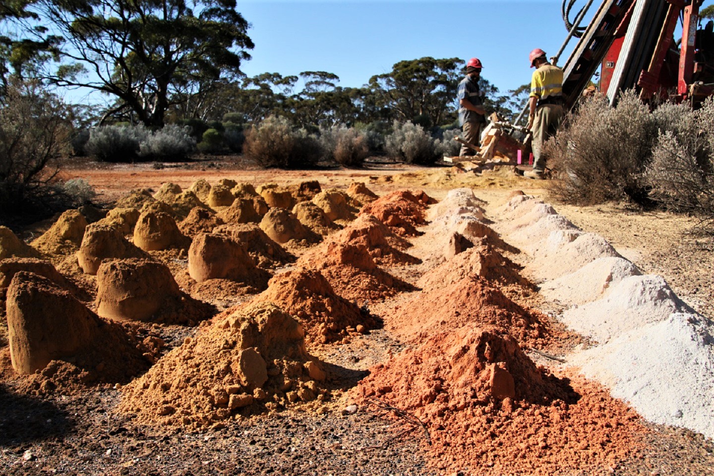 Dampier uncovers new gold discovery on Zuleika Shear