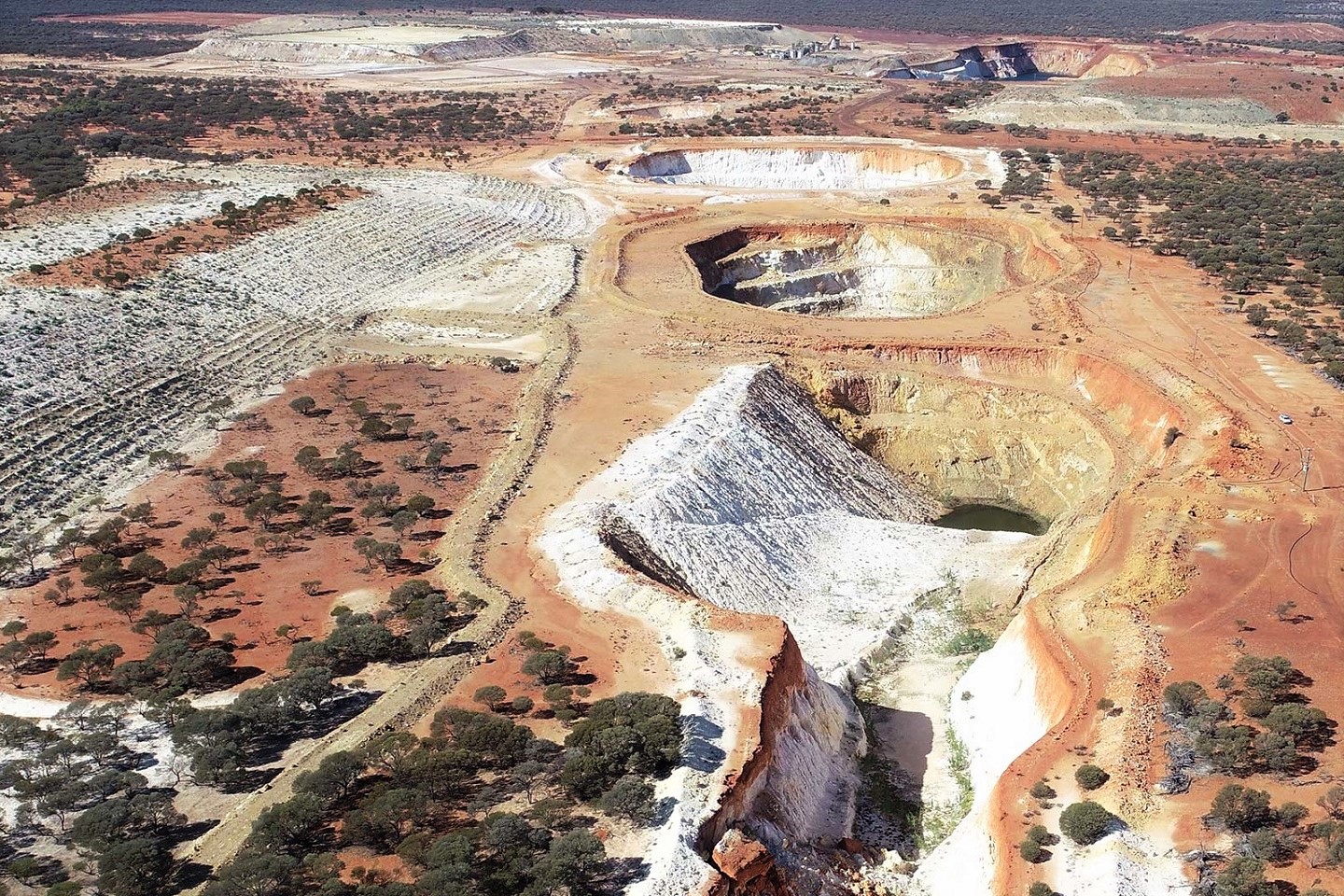 Venus extends Grace gold discovery at Youanmi