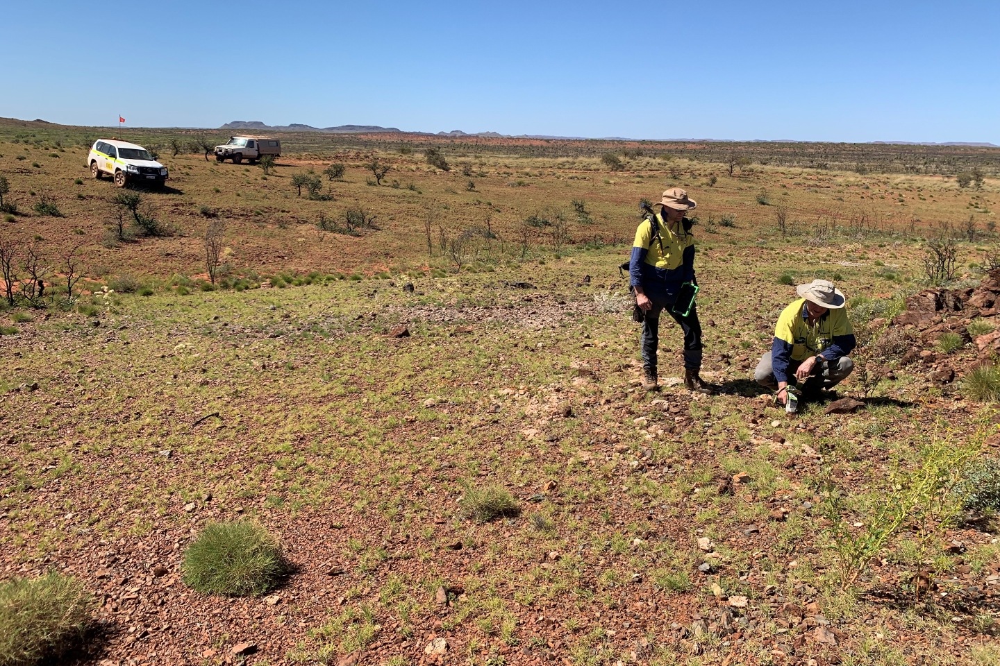 NOVO NVO Au-Sb PILBARA BULLSNBEARSWA 1440x960