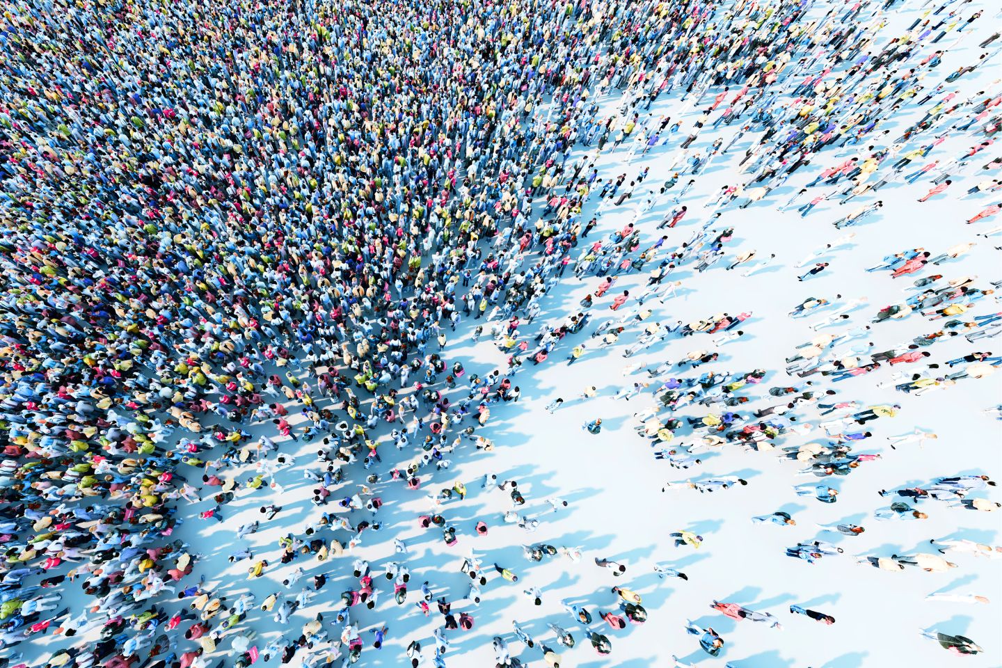 There’s strength in the collective. Photo: Adimas