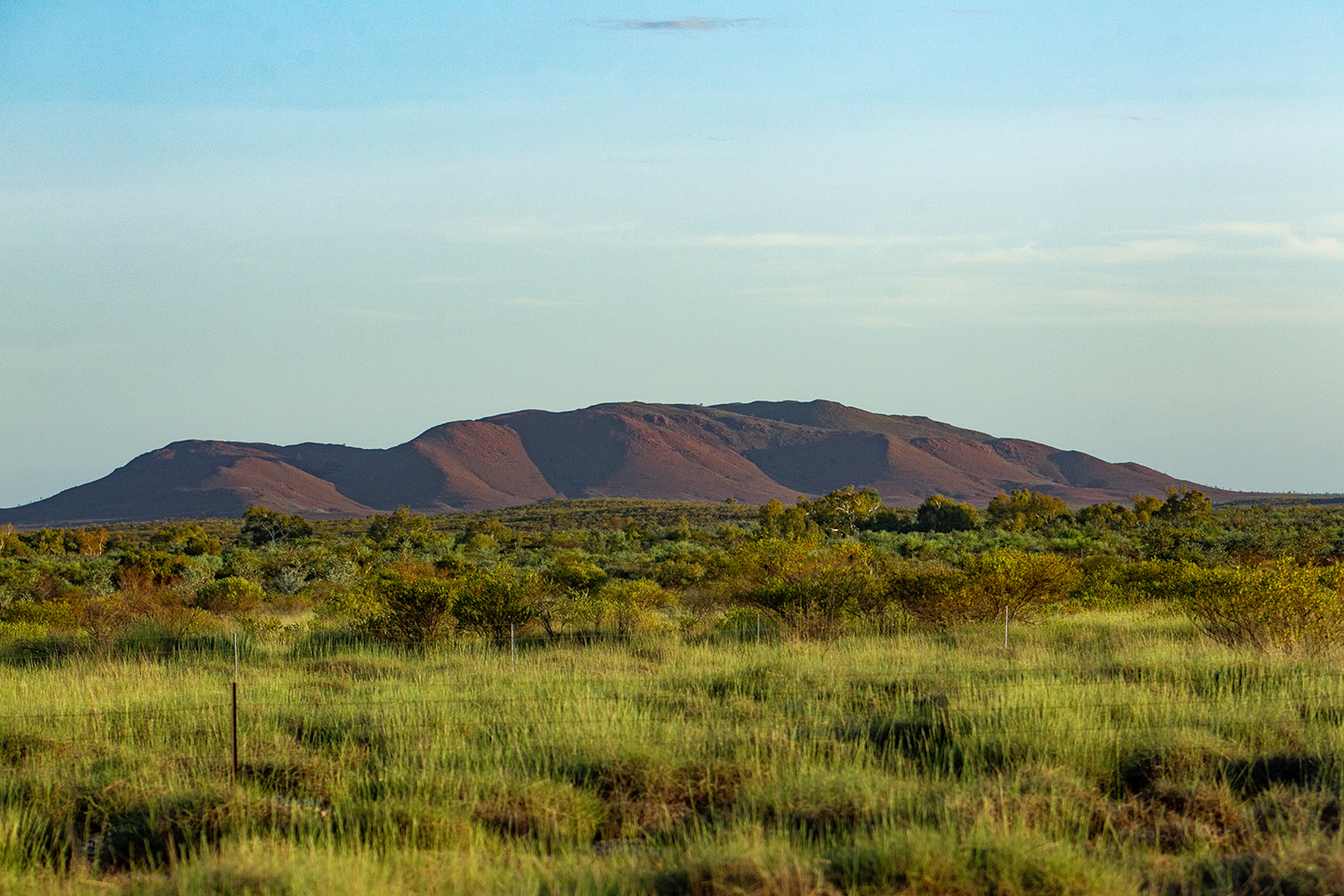 Several stations in the Pilbara are run by traditional owners. Photo: Tom Zaunmayr