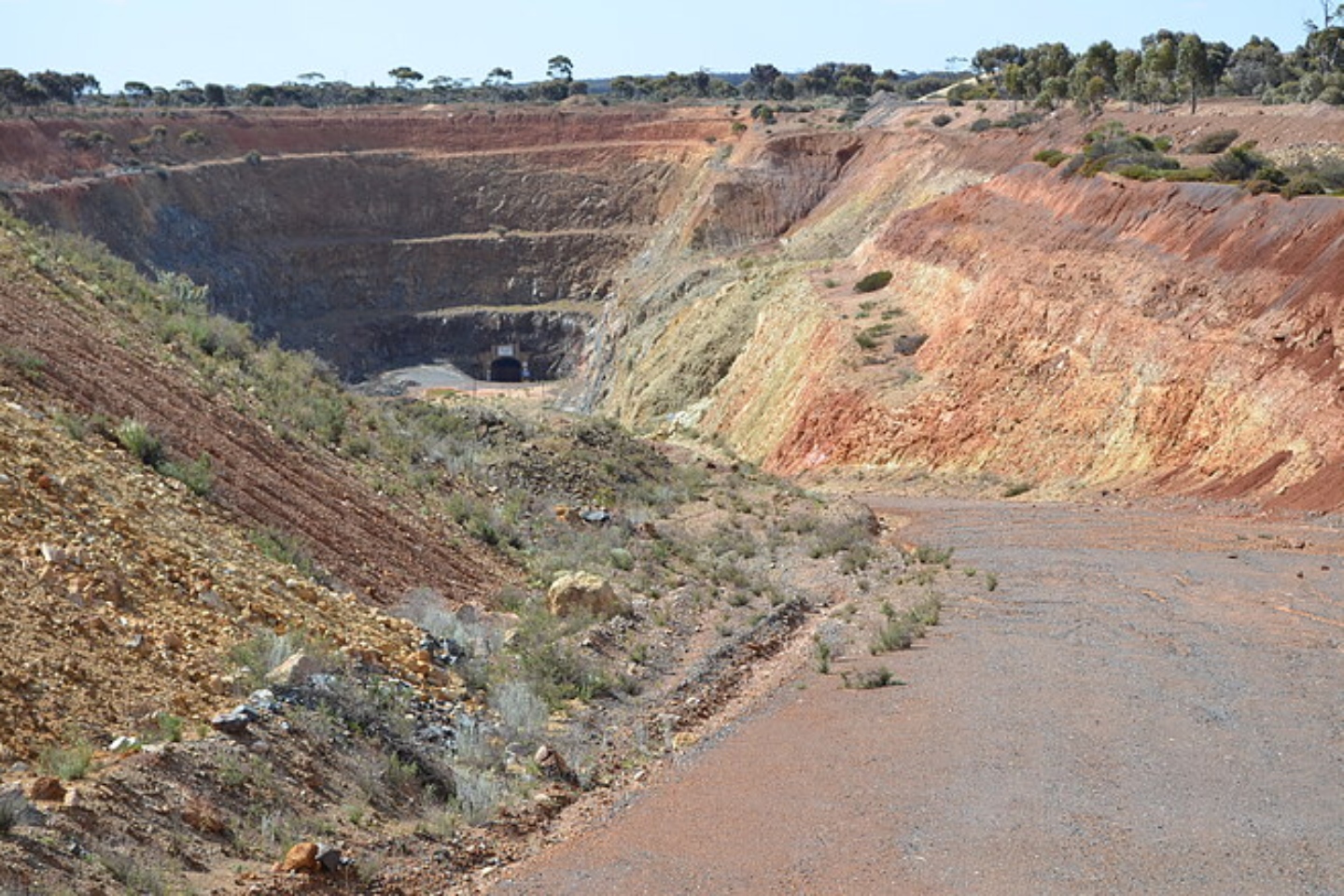Forrestania_BOUNTY GOLD MINE_BNBWA
