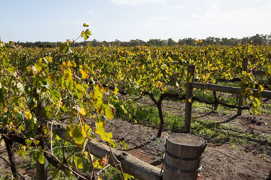 Wineries 2021