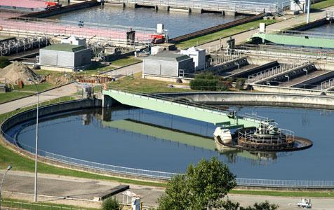 Water Corp announces dividend