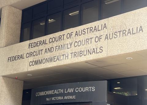 fed court