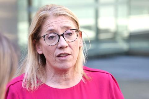 Rita Saffioti presented evidence as a witness in an ongoing defamation trial. Photo: Michael O'Brien